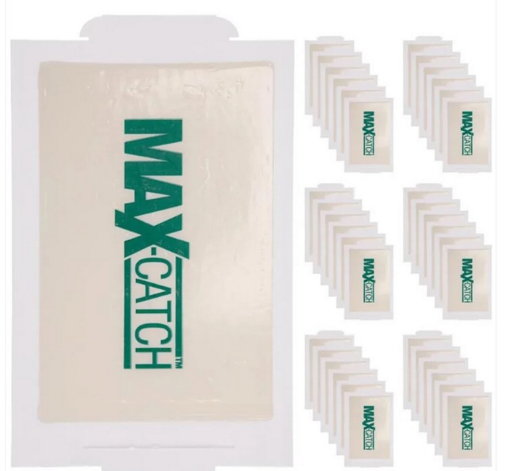 TRAPPE COLLANTE MAX CATCH PEANUT